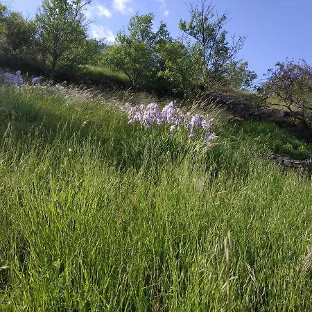 Le Barry Joyeux Verrieres (Aveyron)